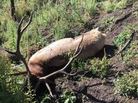 1620106673219.jpeg 1620106673219.jpeg