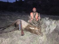 1st elk.jpg