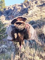 IMG_20210505_071752568.jpg