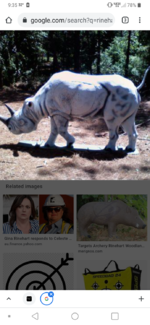 Screenshot_20210506-093545.png