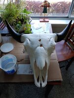Message_1605372373262.jpg