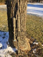EDE4495F-1C28-46F3-847A-5875A52F3C86.jpeg