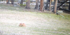 IMG_20210507_113418679.jpg