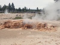 IMG_20210507_115042323.jpg