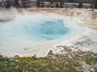 IMG_20210507_114522531.jpg