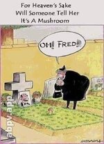 mushroom.jpeg