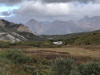 IMG_3779.jpg