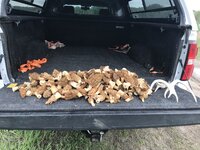 5F130994-CD29-45F4-93FE-746A5E39AA21.jpeg 5F130994-CD29-45F4-93FE-746A5E39AA21.jpeg