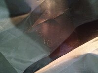 IMG_1501(1).JPG