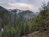 PXL_20210508_132332915.jpg