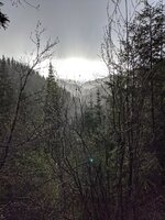 PXL_20210508_014732960.jpg