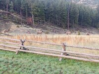 IMG_20210515_060751131.jpg