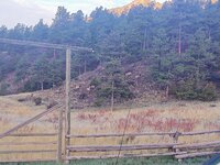 IMG_20210515_063609677.jpg