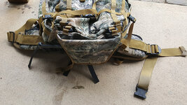 wilderness-ibex-01.jpg