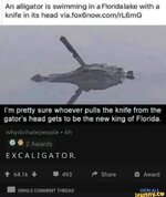 ExCaligator.jpg