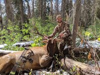 elk pic.jpg
