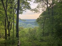 940D18F0-0E62-428D-974C-C010D9E4D811.jpeg