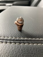 IMG_4170.jpg IMG_4170.jpg