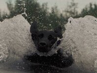 surfin.JPG