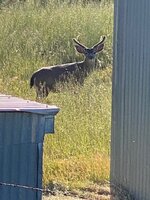 IMG_9056.jpeg