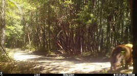 D9050775-FB0A-4FB0-BE7B-7898D3973F52.jpeg