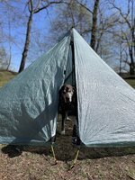 IMG_3206.jpg IMG_3206.jpg