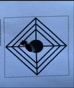 IMG_7781.PNG IMG_7781.PNG