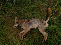 IMG_7777.jpg IMG_7777.jpg