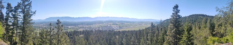 IMG_20210530_093546677.jpg