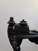 20210603_054817.jpg
