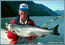 Kingsalmon.jpg