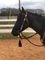 Anyone using mecate reins?