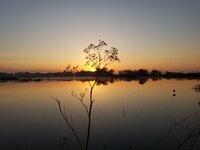 20201122_071149.jpg