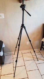 20210607_075906.jpg