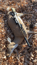 Screen Shot 2021-06-10 at 9.03.20 AM.png