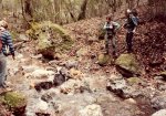 hog hunting0001.jpg hog hunting0001.jpg