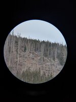 PXL_20201107_235136944.jpg