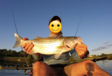 20210516_210638.png