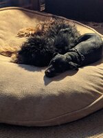 IMG_20210515_204308.jpg