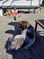 IMG_20210612_092205318.jpg