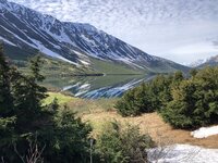 IMG_4461.jpg