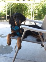 Griff6.jpg