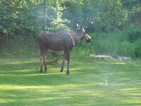 Download July 2005 022.jpg