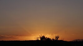 F8B4F9A1-8291-4D43-A2D6-51698A7131BE.jpeg