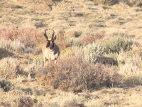 197614528_241606320717998_6180443125636129626_n.jpg 197614528_241606320717998_6180443125636129626_n.jpg