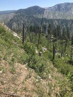 IMG_7741.JPEG