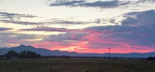 IMG_20210623_213740064.jpg