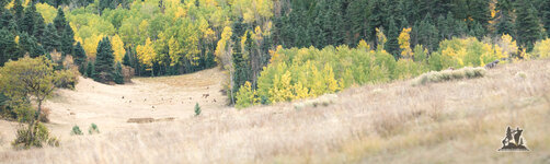DSC05826-Pano-Edit.jpg