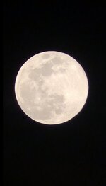 0391830A-9938-4D23-B770-862CD0DD6B99.jpeg 0391830A-9938-4D23-B770-862CD0DD6B99.jpeg