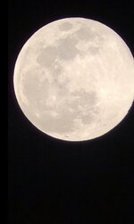 23B4E0E1-57C0-4D57-8E8B-A515A393698A.jpeg 23B4E0E1-57C0-4D57-8E8B-A515A393698A.jpeg